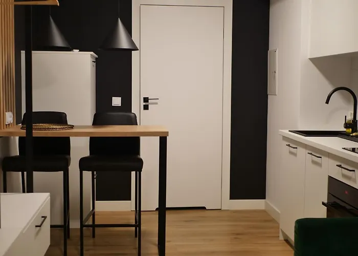 Przytulna Kawalerka 77 Daire *